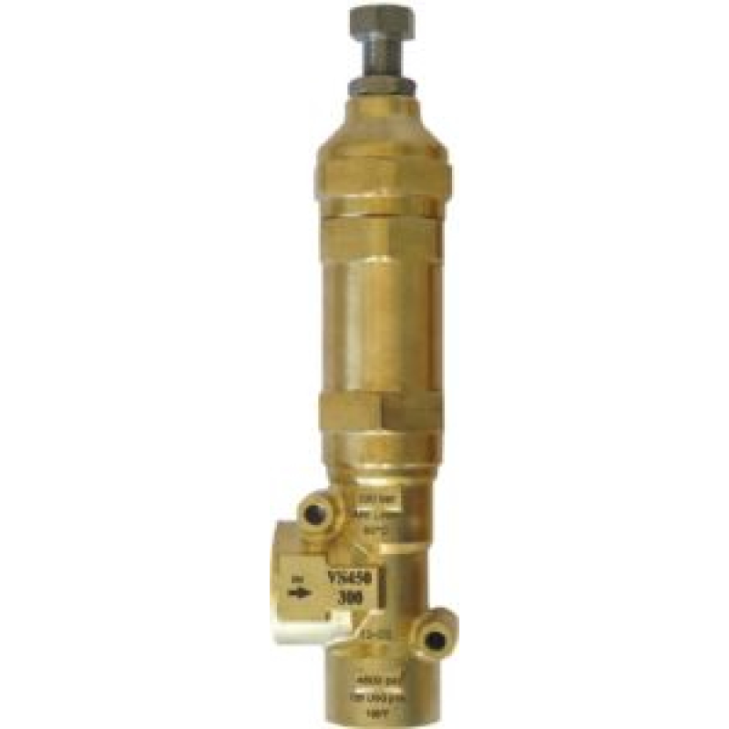 VS450-300 Safety valve 